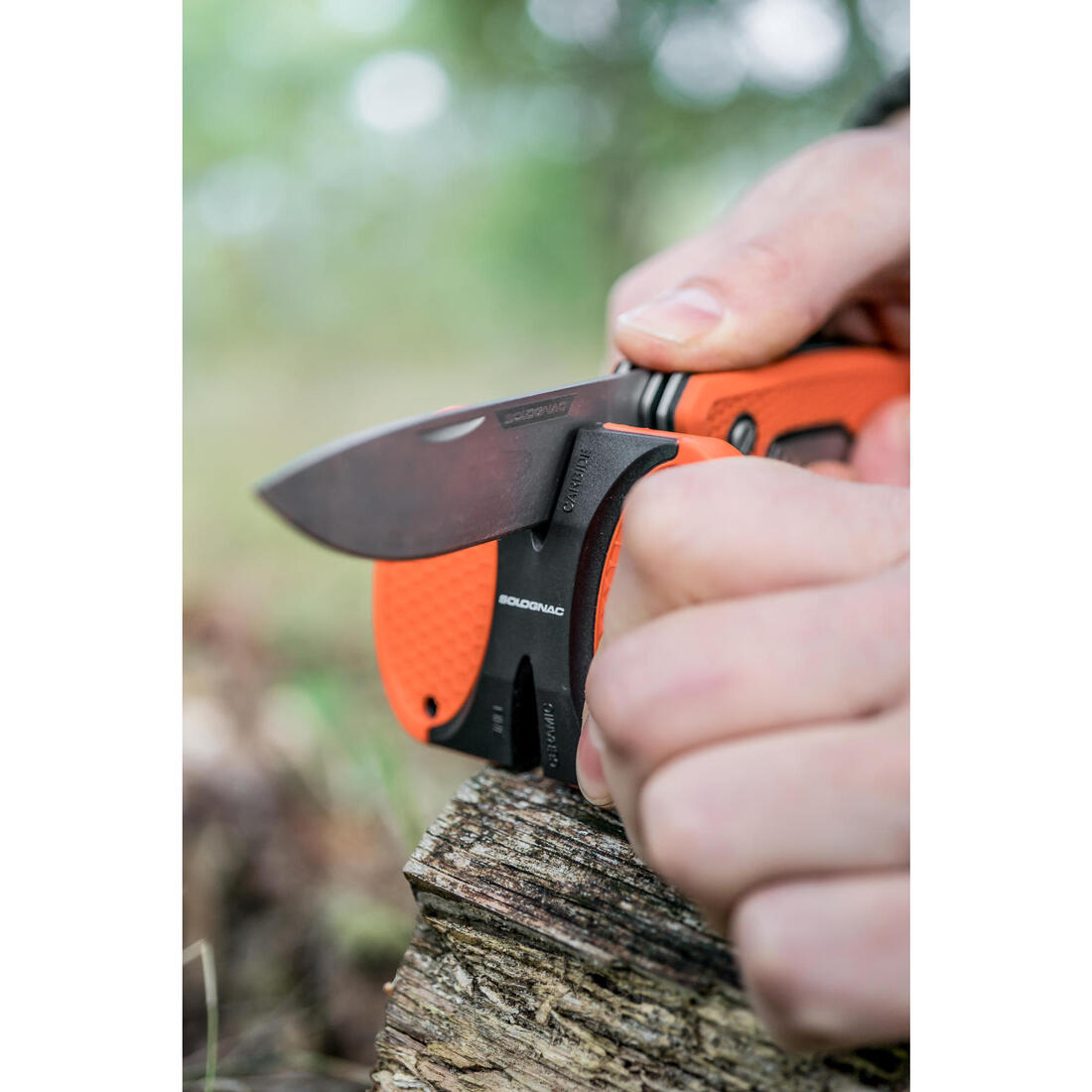 IMG_8395980_5