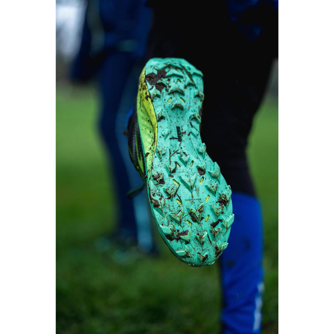 IMG_8800255_11