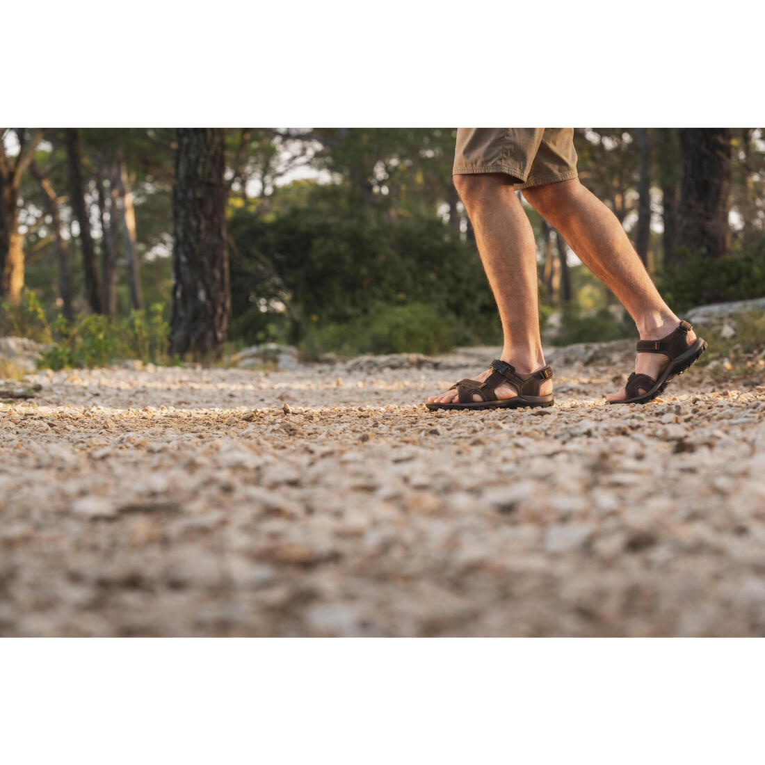 IMG_8583436_8