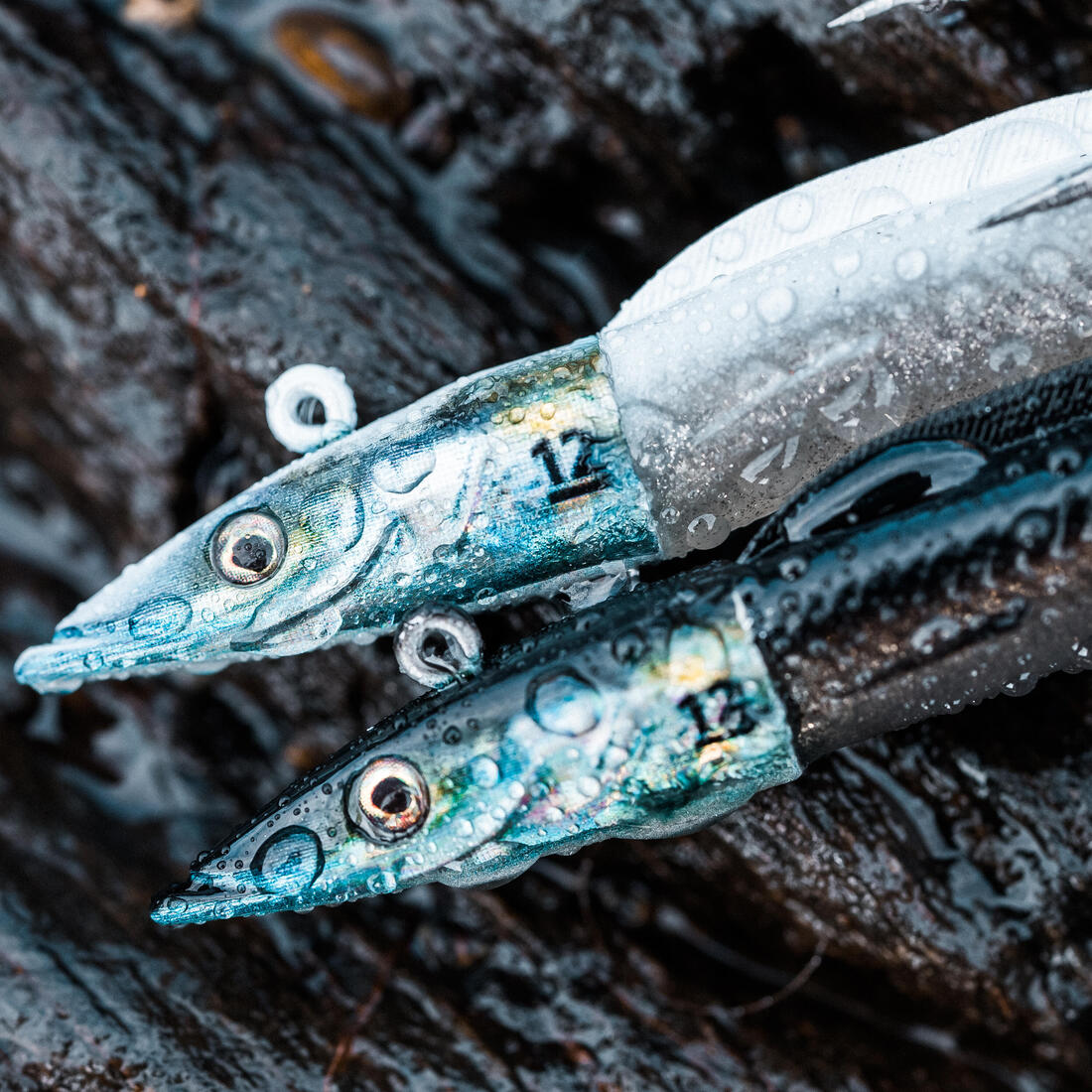 IMG_8645699_7