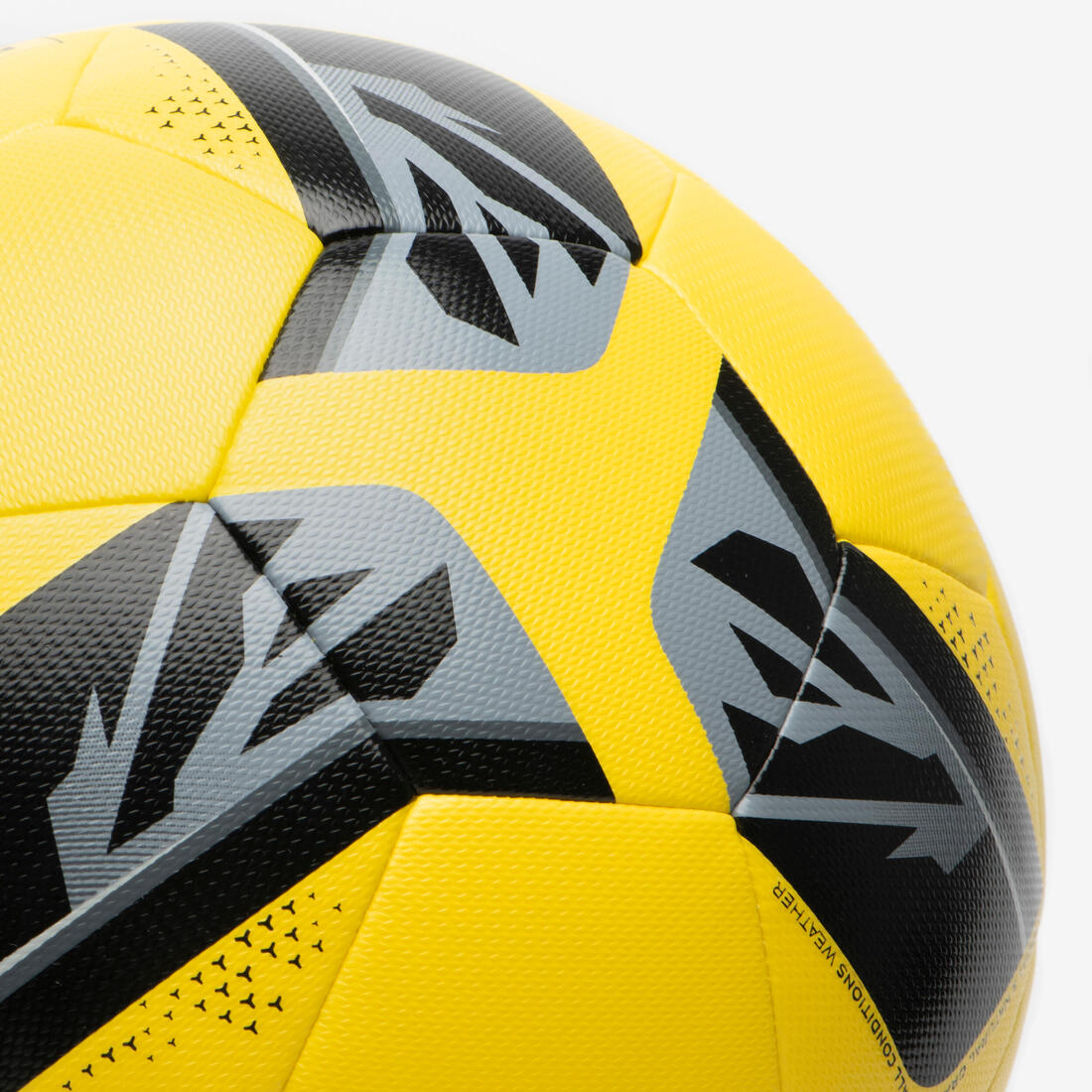 IMG_2585596