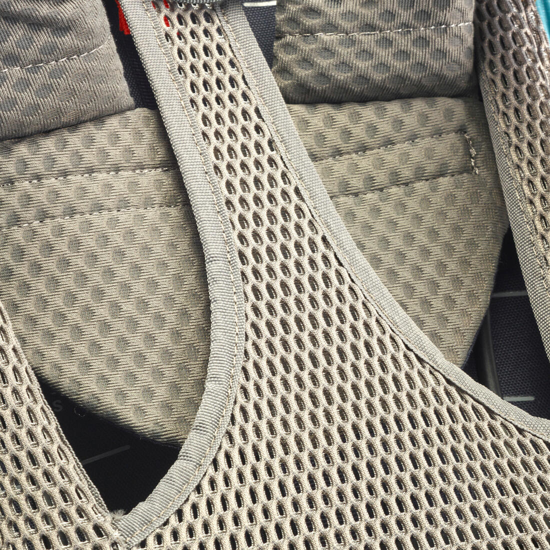 IMG_8581391_6