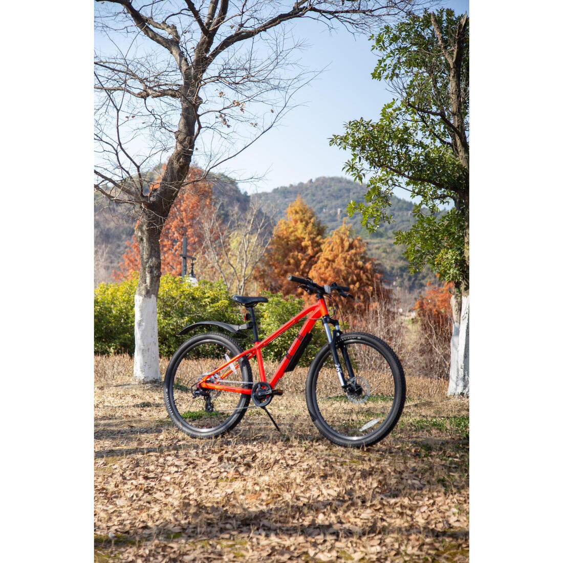 IMG_8615206_16