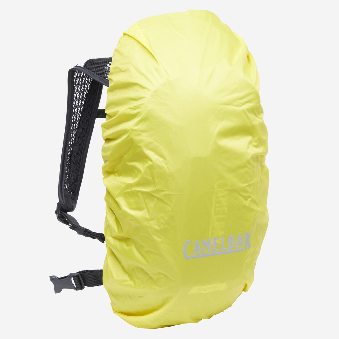 IMG_1008921171_7