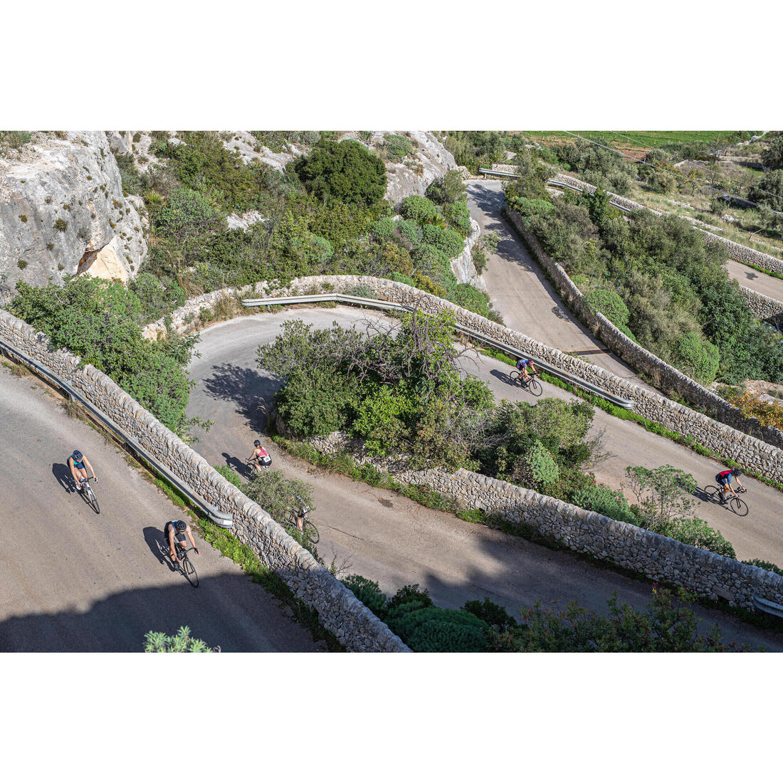 IMG_8518583_8