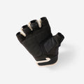 IMG_8956670_3