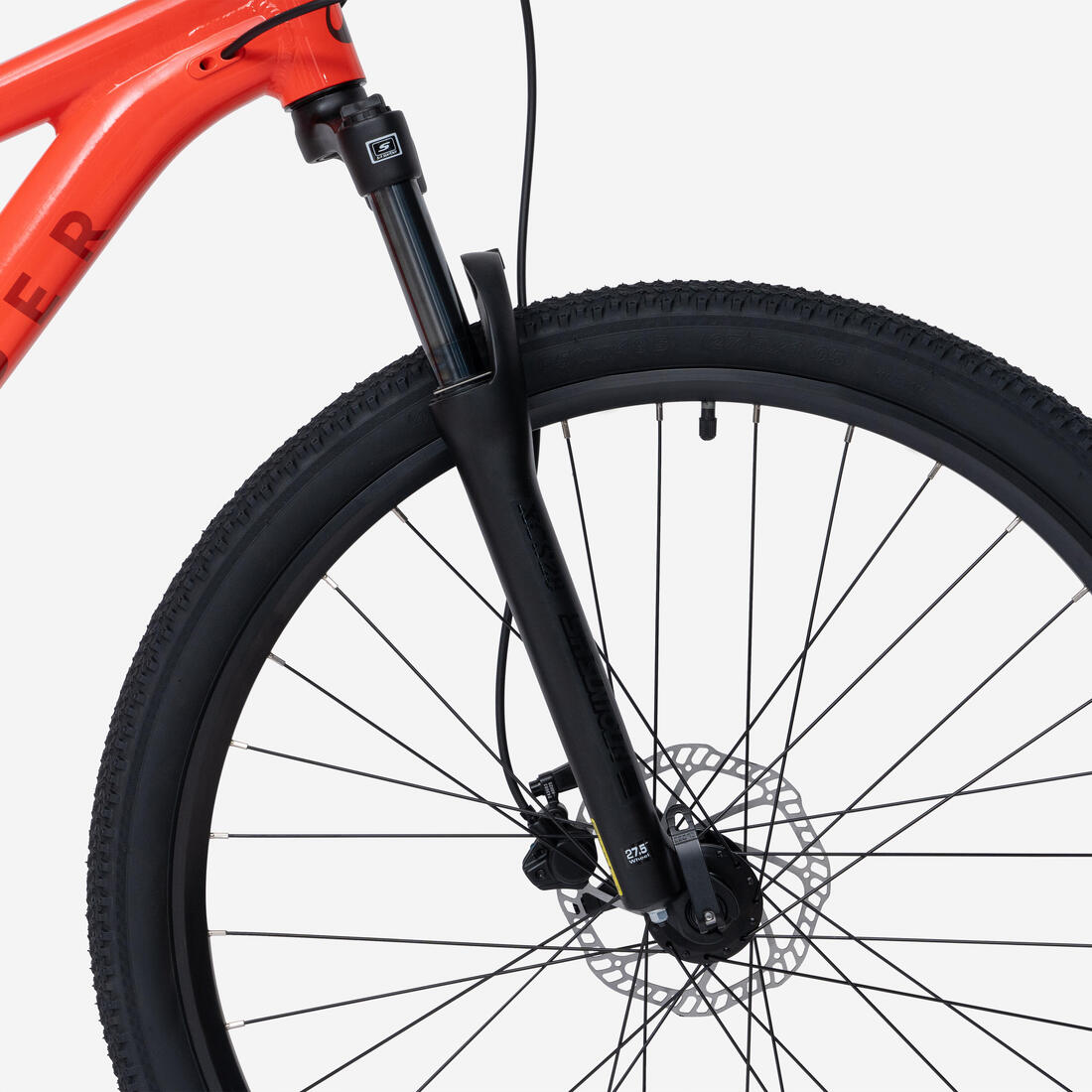 IMG_9007064_15