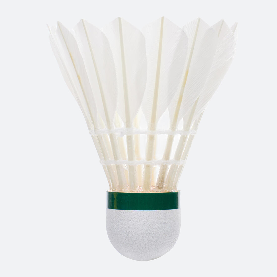 IMG_3093212