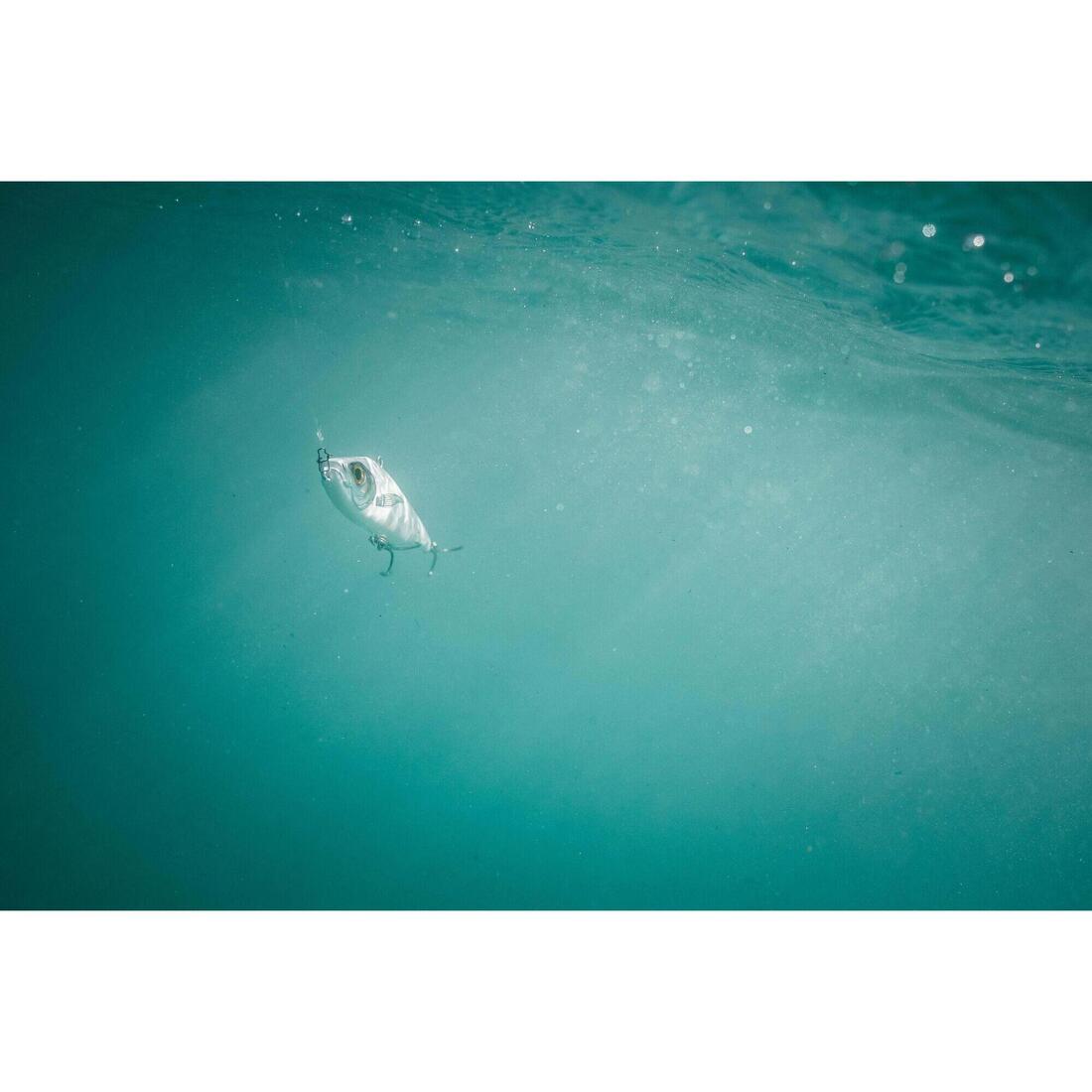 IMG_8755951_10