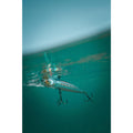 IMG_8589078_6