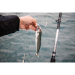 Product thumbnail 12 of 12