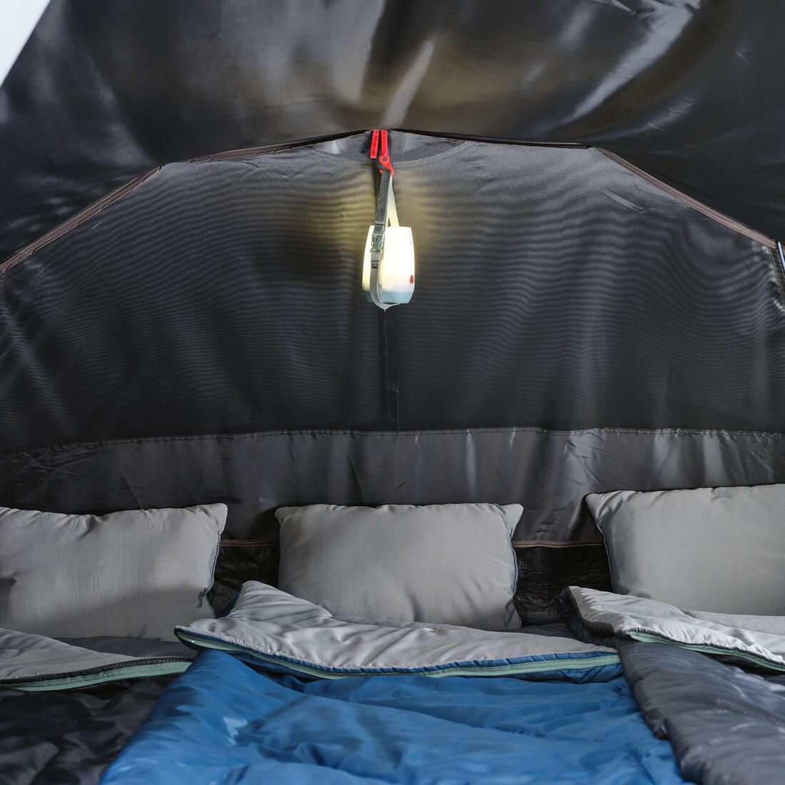 IMG_8801561_8