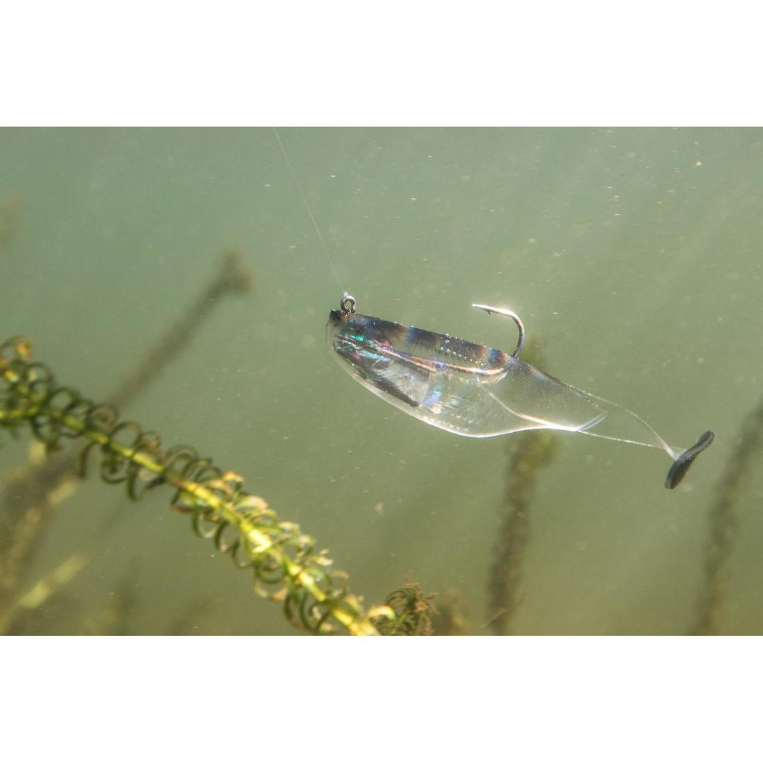 IMG_8379593_4