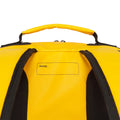 IMG_1786548