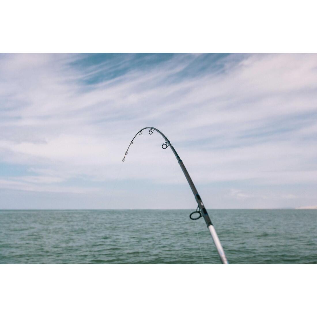 IMG_8645639_10