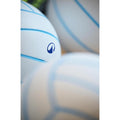 IMG_2878445