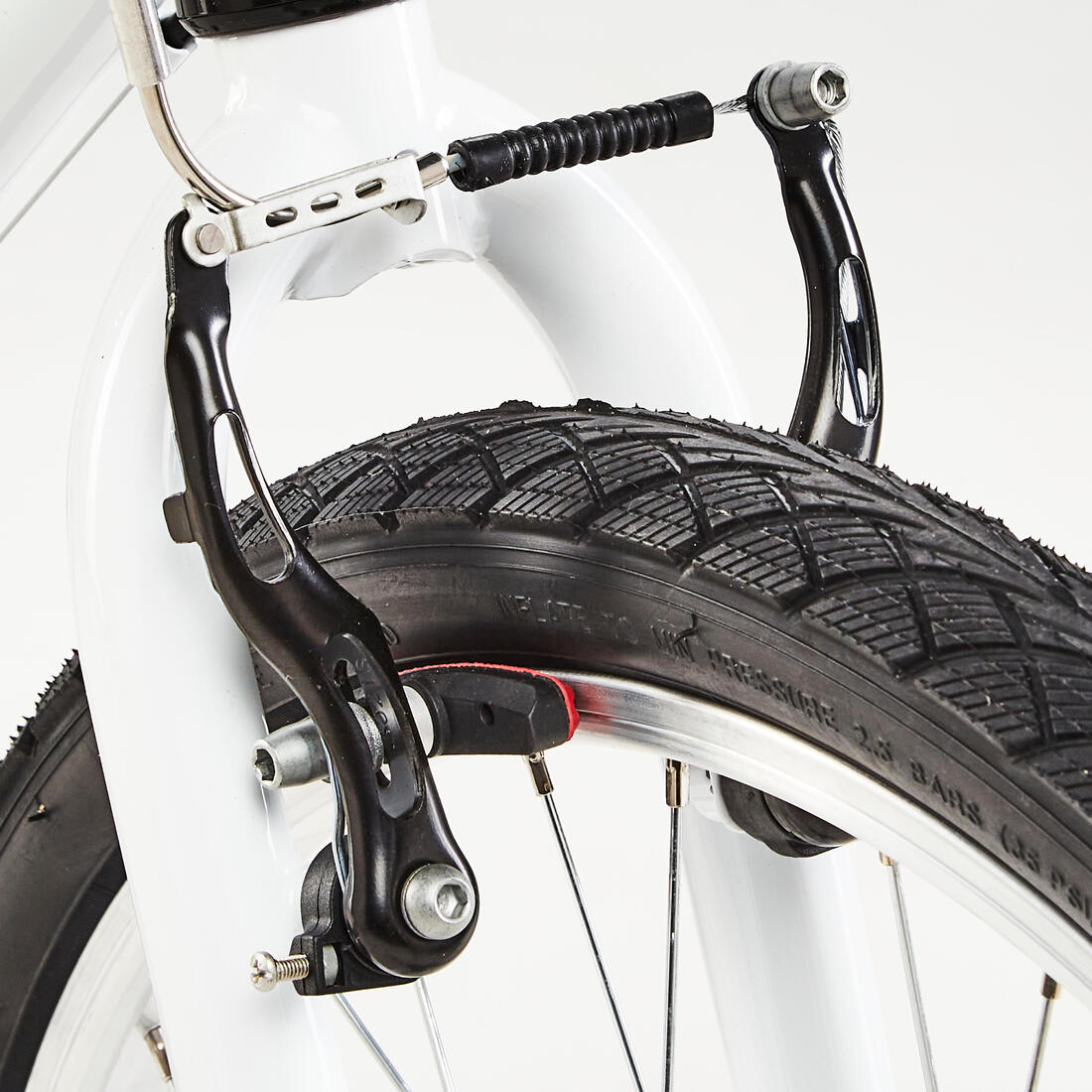 IMG_8576534_4