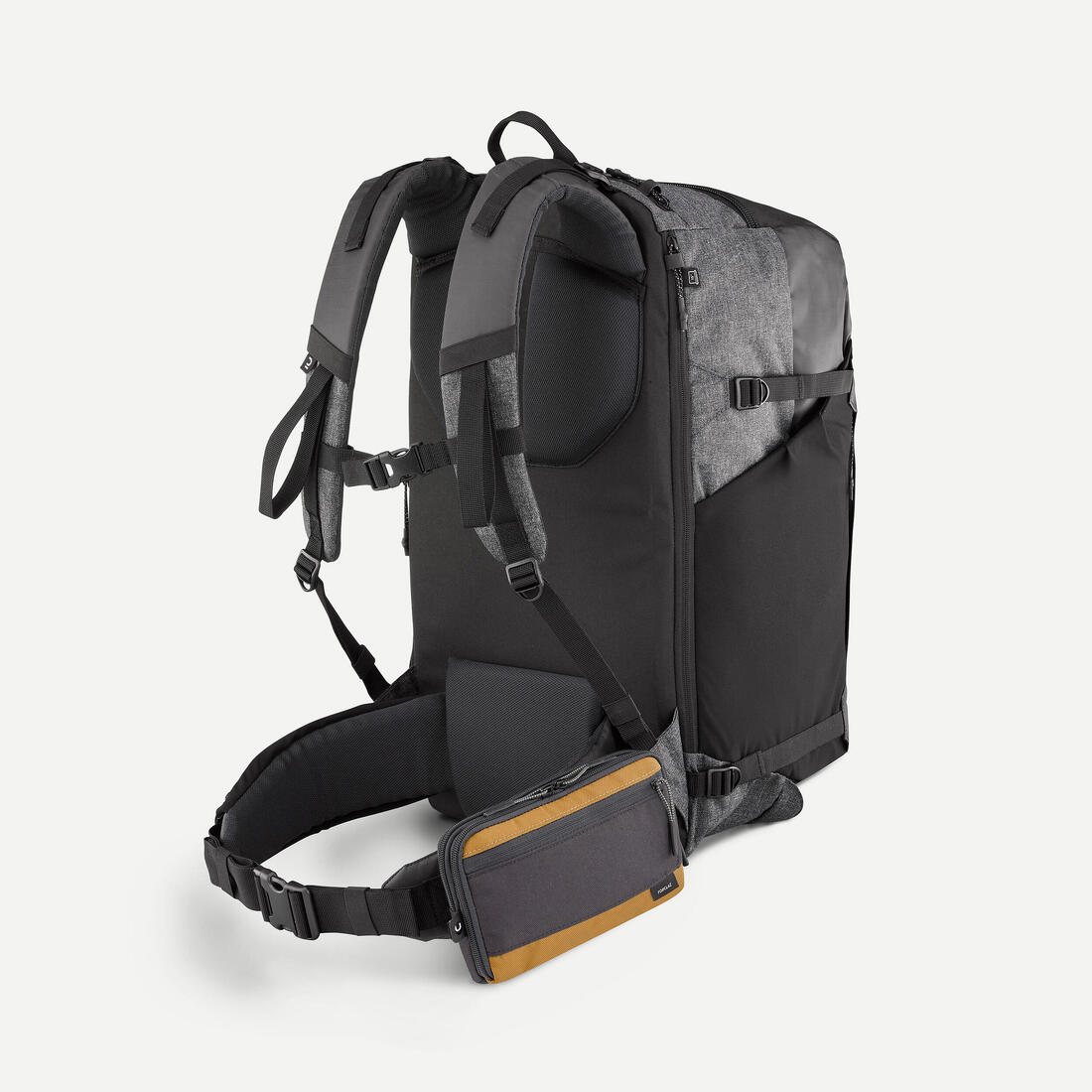 IMG_2597456
