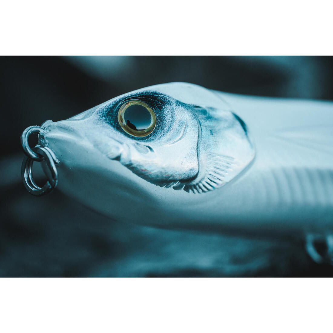 IMG_8755954_5