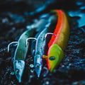 IMG_8559826_5