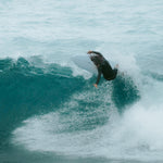 Product thumbnail 8 of 13