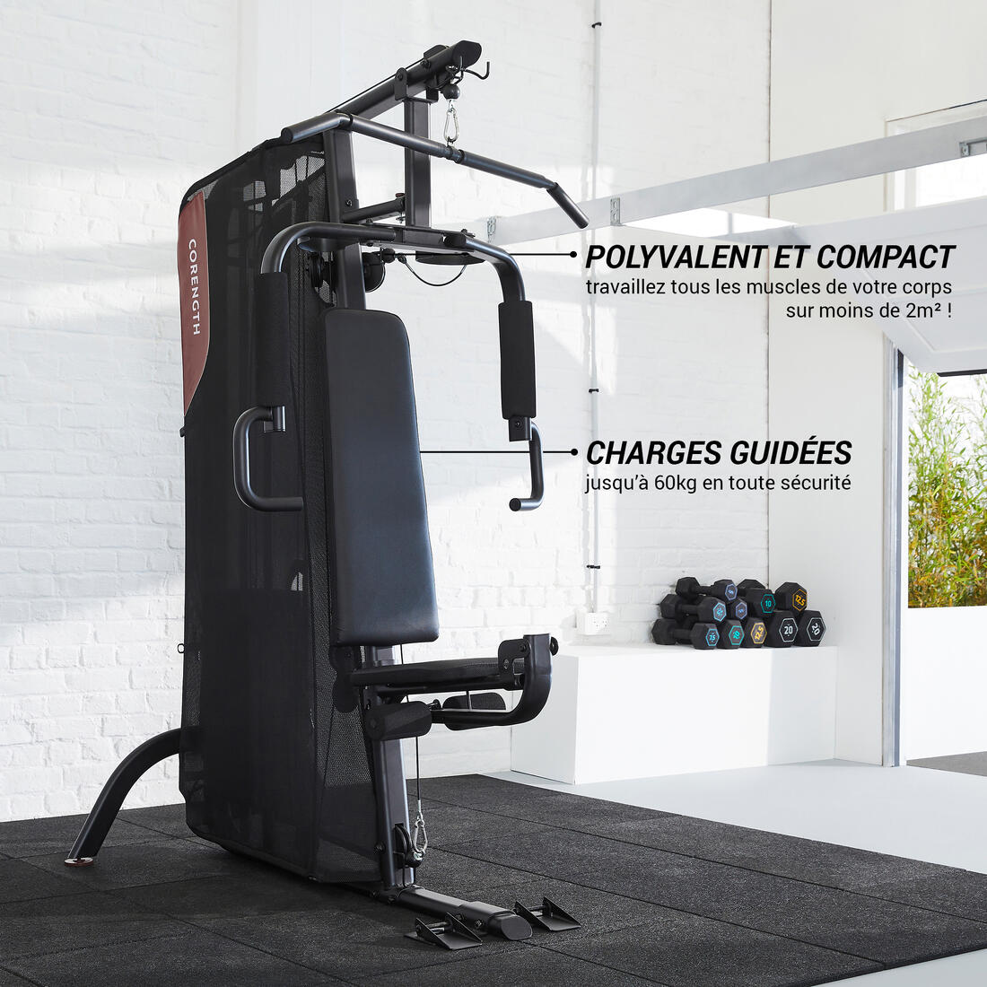 IMG_2490489