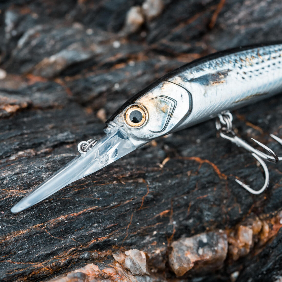 IMG_8739970_3