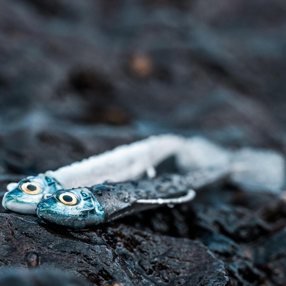 IMG_2221134