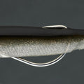 IMG_8643710_5