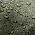 IMG_2815590