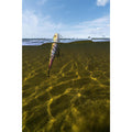 IMG_8601746_6