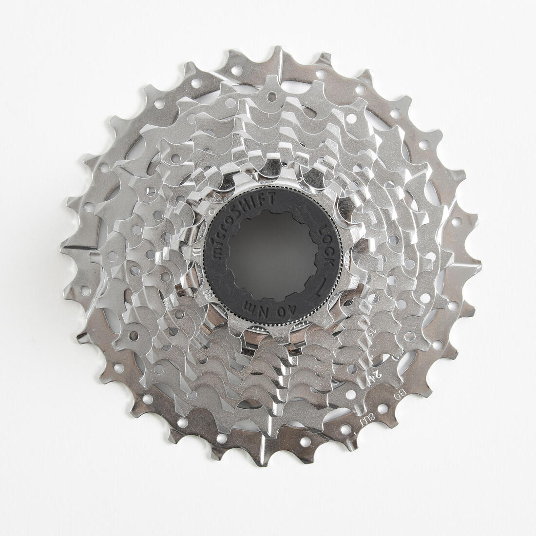 IMG_8329159_1
